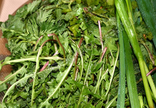 Рецепт приготовления зелёного салата из листьтев берёзы, крапивы, одуванчика с яйцом фото