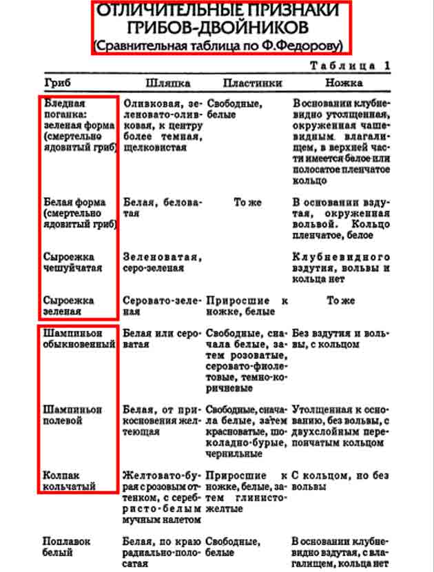 Отличительные признаки грибов-двойников по сравнительной таблице Ф. Фёдорова