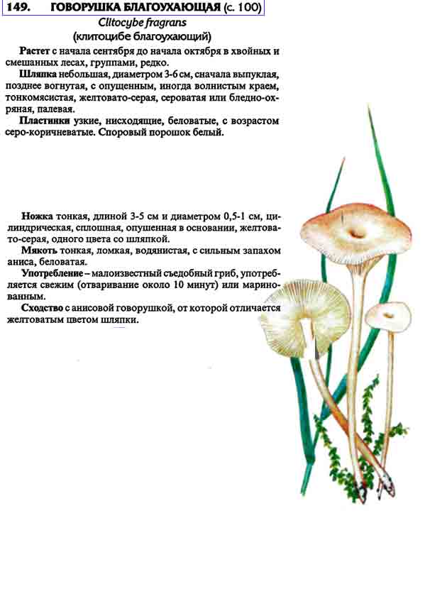 Описание гриба из справочника грибного