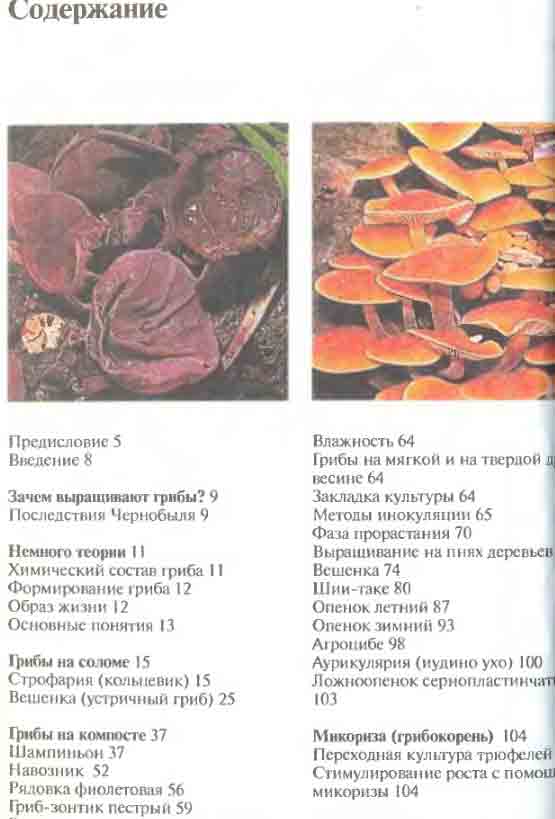 Выращивание грибов дома книга 5 стр