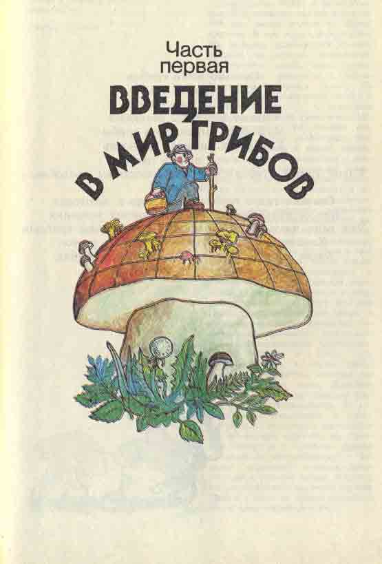 Введение в мир грибов
