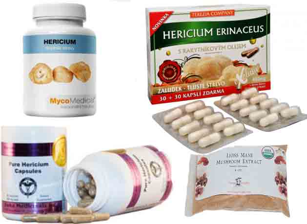 На фото лекарства, получаемые из гриба львиная грива, ямабуши или ежевика гребенчатого