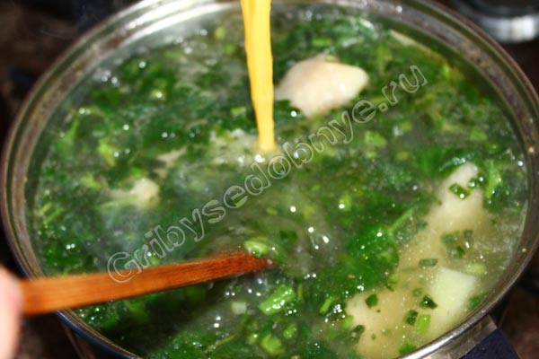 Рецепт Приготовления супа из крапивы с фото шаг 12
