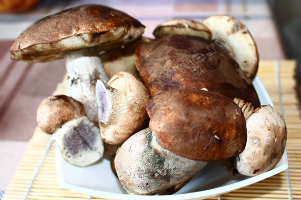 Фото № 1 к рецепту жареная картошка с грибами