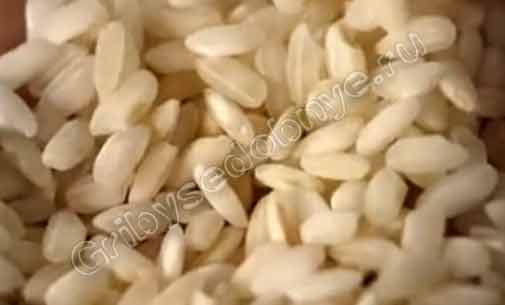 Специальный рис для приготовления ризотто отличает высокое содержание крахмала