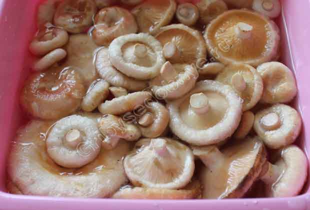 Солёные волнушки (холодный способ) - пошаговый рецепт с фото | Азбука рецептов