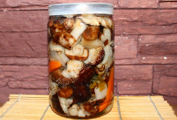 Фотография баночки с маринованными грибами подтопольниками, приготовленными по данному рецепту