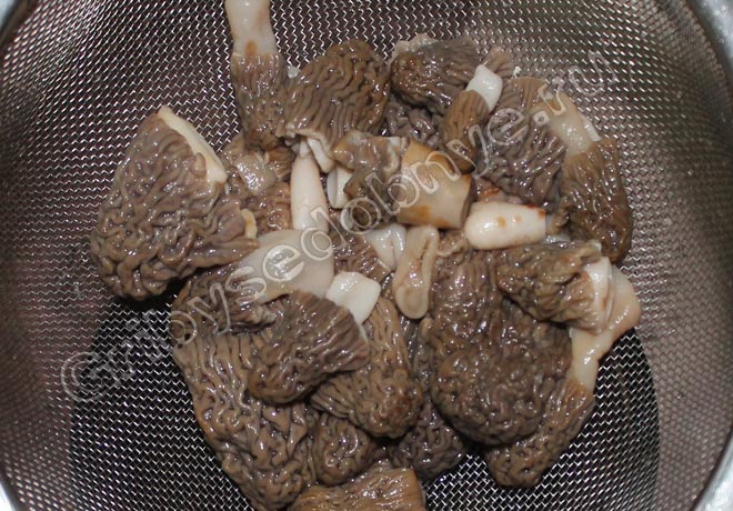 ФотоРецепт приготовления весеннего супа из свежих грибов сморчков фото 5