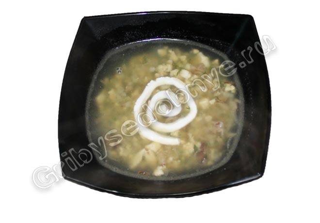 Рецепт приготовления грибного супа со строчками и рисом фото