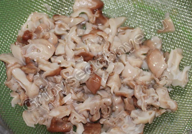 Рецепт приготовления грибного супа со строчками и рисом шаг 8