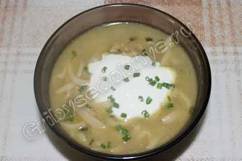 Вкусный суп с белыми грибами и домашней лапшой разливаем по порционным тарелкам