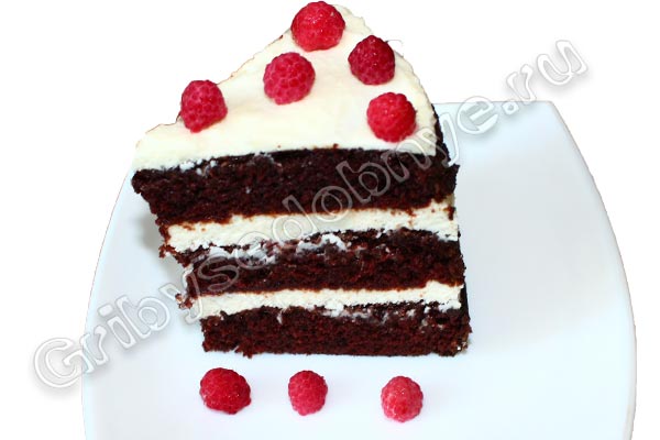 Рецепт приготовления торта шоколадно-сливочного с лесной малиной фото