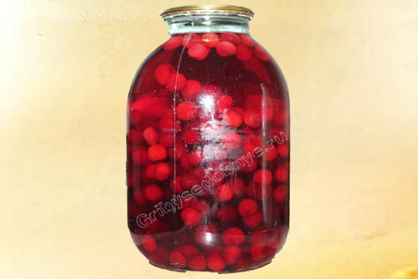 Рецепт приготовления ягодного компота из дикой вишни фото
