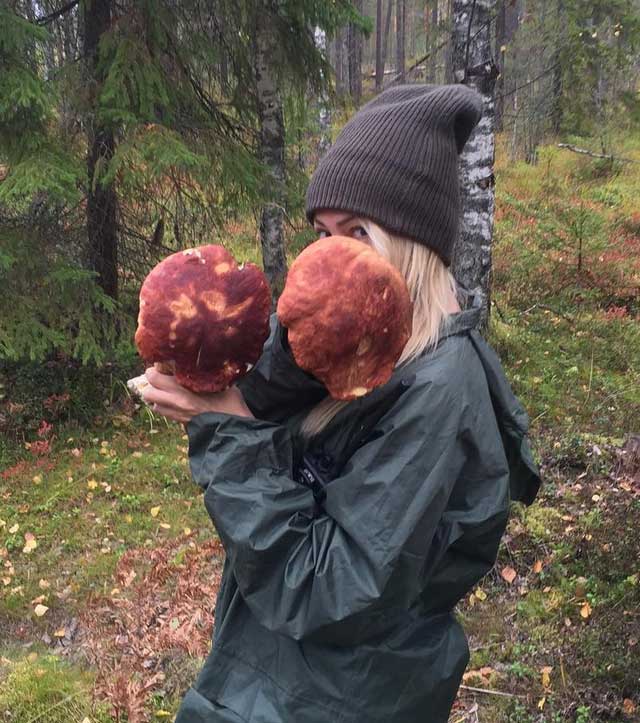 Красавцы белые грибы (Белый гриб сосновый, боровой (Boletus pinophilus) и Яна