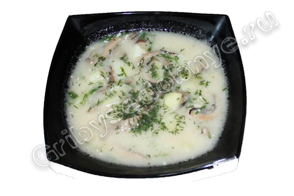 Рецепт приготовления сырного супа с грибами вешенками с фото