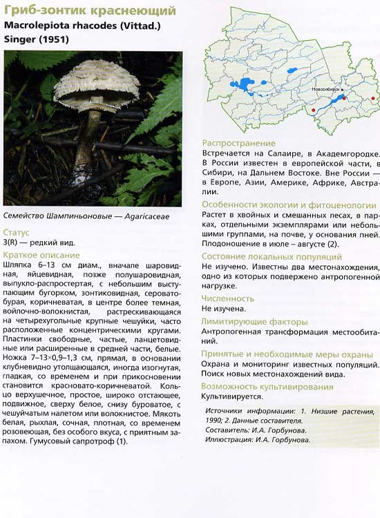 описание гриба-зонтика краснеющего в литературе