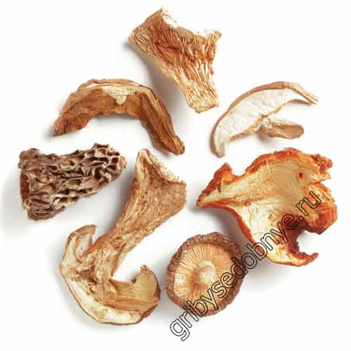 Запасаем на зиму грибы: все о пяти способах и 9 интересных рецептов